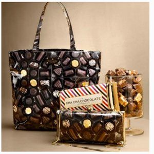 kate spade cha cha chocolate candy bar purse bag clutch nwot